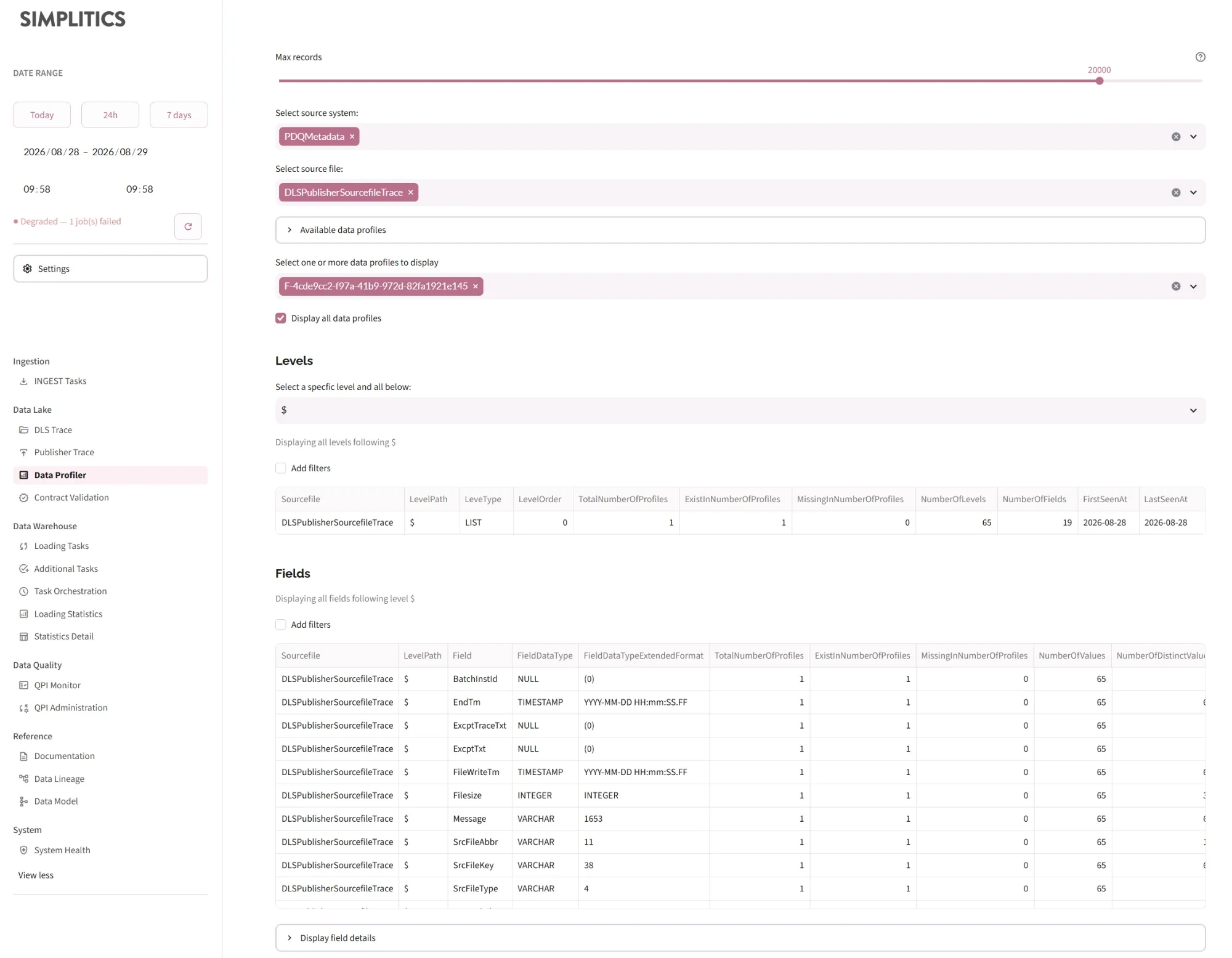 Data Profiler: source system and source file selection, the profile picker, and the Levels and Fields tables